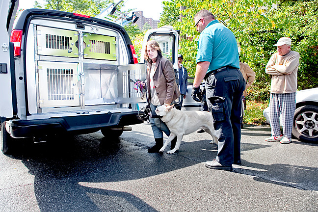 Officers round up dogs neighbors feared | The Riverdale Press |  